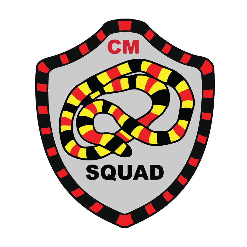 Squad Patch